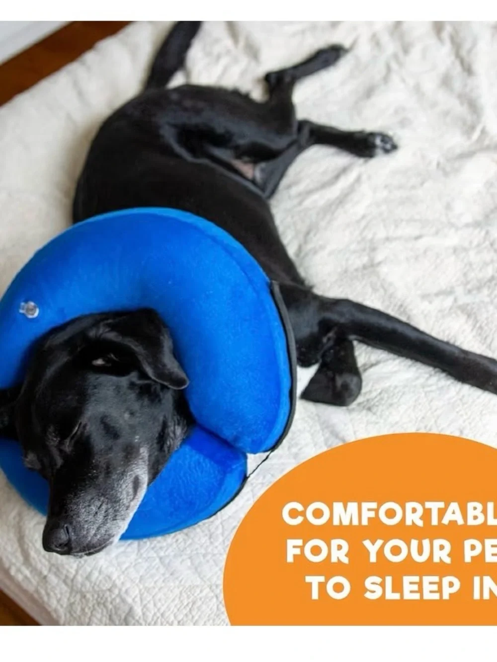 Inflatable Blue Dog Cat Soft Cone Collar Neck Recovery Donut Medium M+ NEW